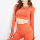 Roupas esportivas femininas Camisa de manga comprida Leggings de cintura alta em malha