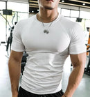 Camisetas lisas masculinas de manga curta para musculação - slim fit