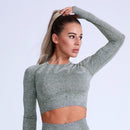 Cropped Maldivas Manga Longa - Bora Pro Treino