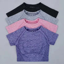 Top sem costuras de treino de manga curta para mulheres